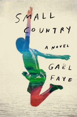 Read blurb/Purchase: Small Country: A Novel
