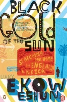 Black Gold of the Sun by Ekow Eshun (was featured in Part 3 of the series: https://africanbookaddict.com/2017/03/31/gh-at-60-our-writers-their-books-part-3-final/)