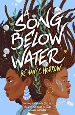 Read blurb/Purchase: A Song Below Water: A Novel