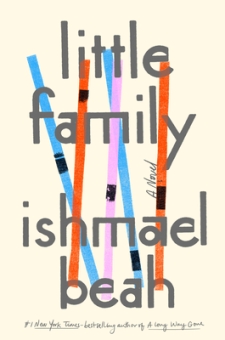 Read blurb/Purchase: Little Family: A Novel