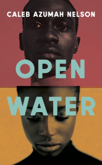 Read blurb/Purchase: Open Water