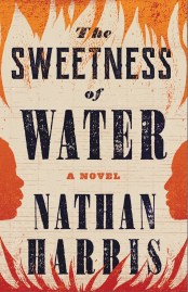 Read blurb/Purchase: The Sweetness of Water: A Novel