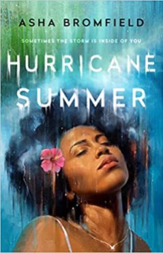 Read blurb/Purchase: Hurricane Summer: A Novel