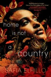 Read blurb/Purchase: Home Is Not a Country